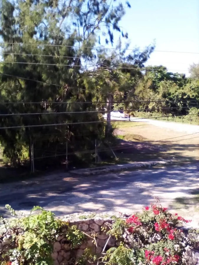 The Stoney Gate Cottages Negril Guest house
