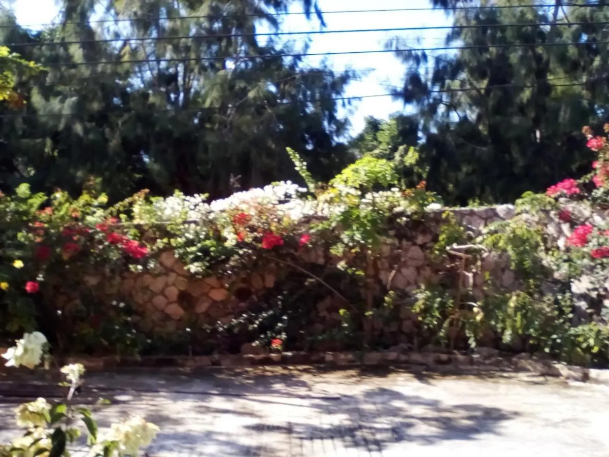 The Stoney Gate Cottages Negril 0*,  Jamaica
